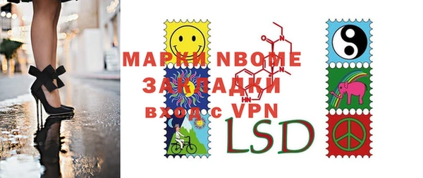 индика Алзамай