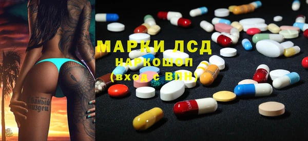 индика Алзамай