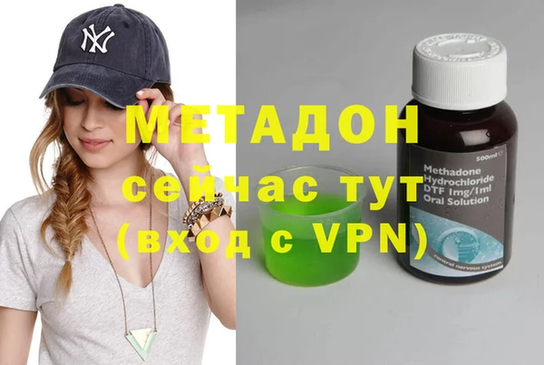 индика Алзамай
