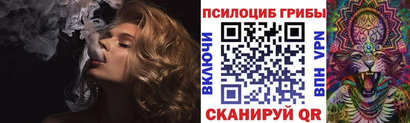 MEGA как войти  Алзамай  Галлюциногенные грибы Magic Shrooms 